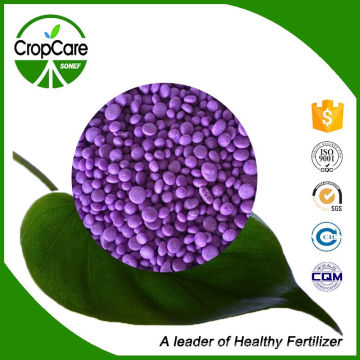 Sop Based NPK Fertilizer 16-16-16 for Cash Crops Fruits Vegetables
